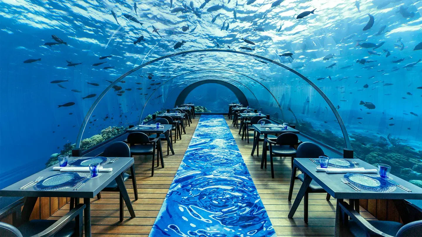 Dining at 5.8 Undersea Restaurant in the Maldives, surrounded by marine life.