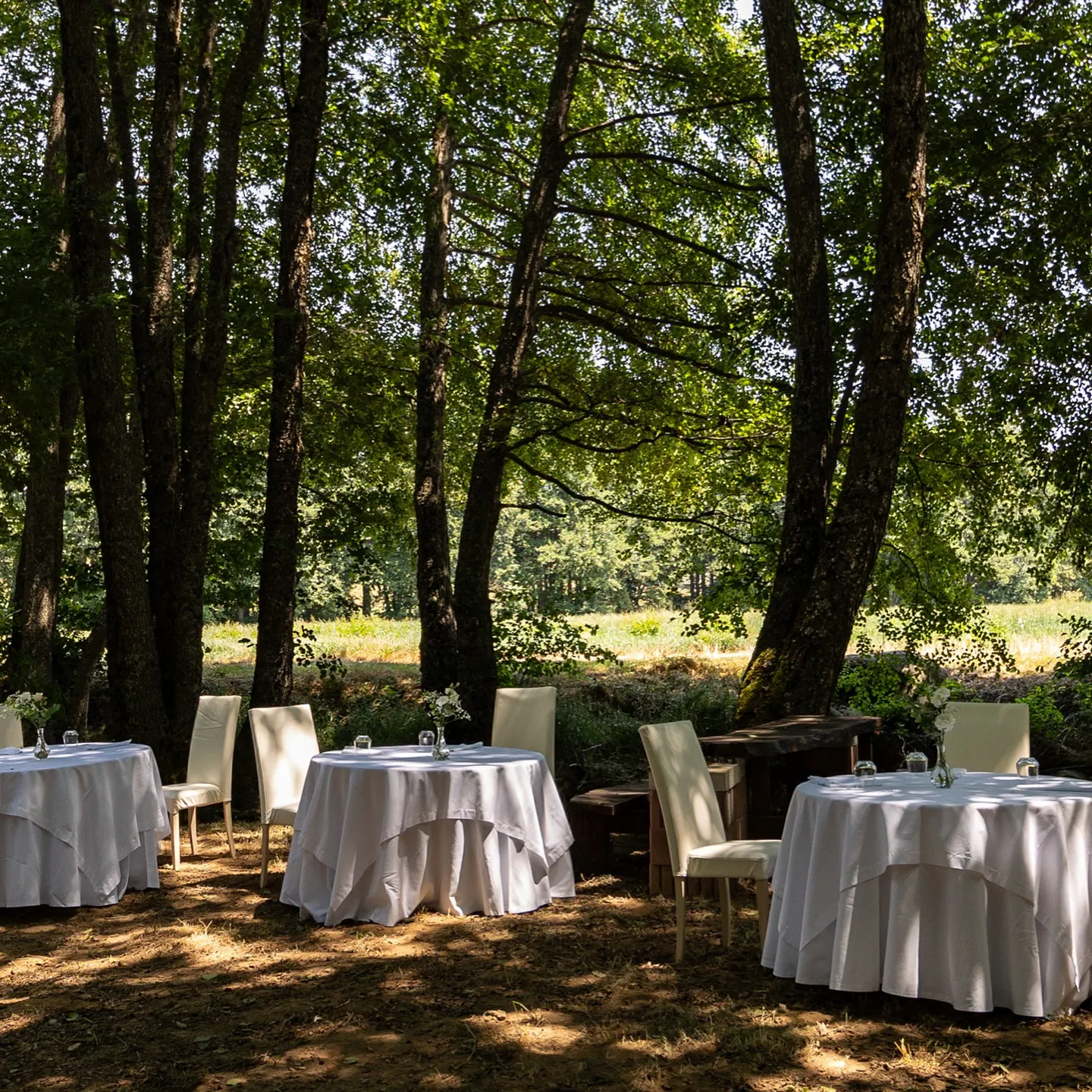 Cover image for venue 675fc533183a49508ab3972c