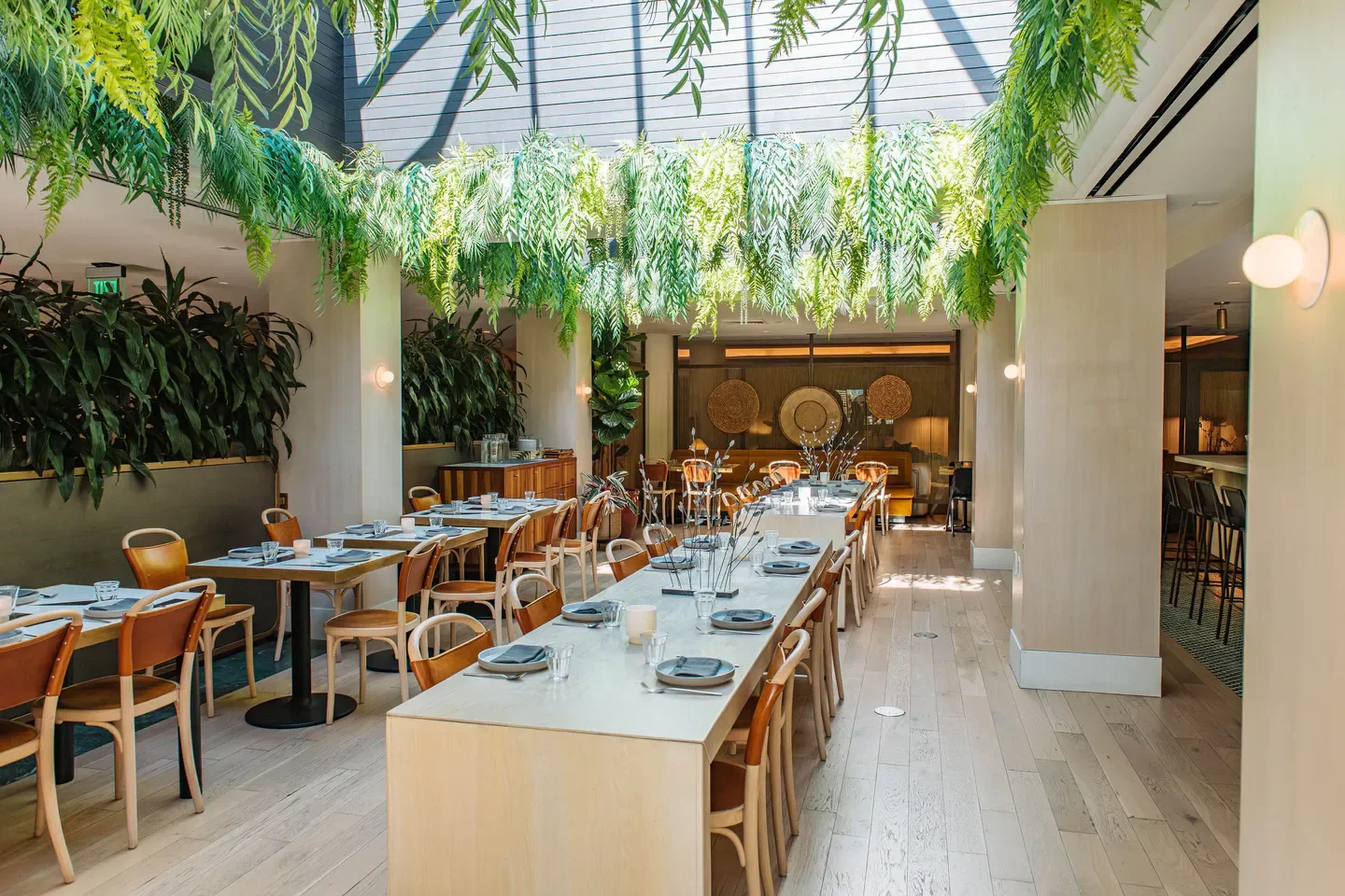 Interior of Abacá restaurant in San Francisco, with hanging plants and tables.