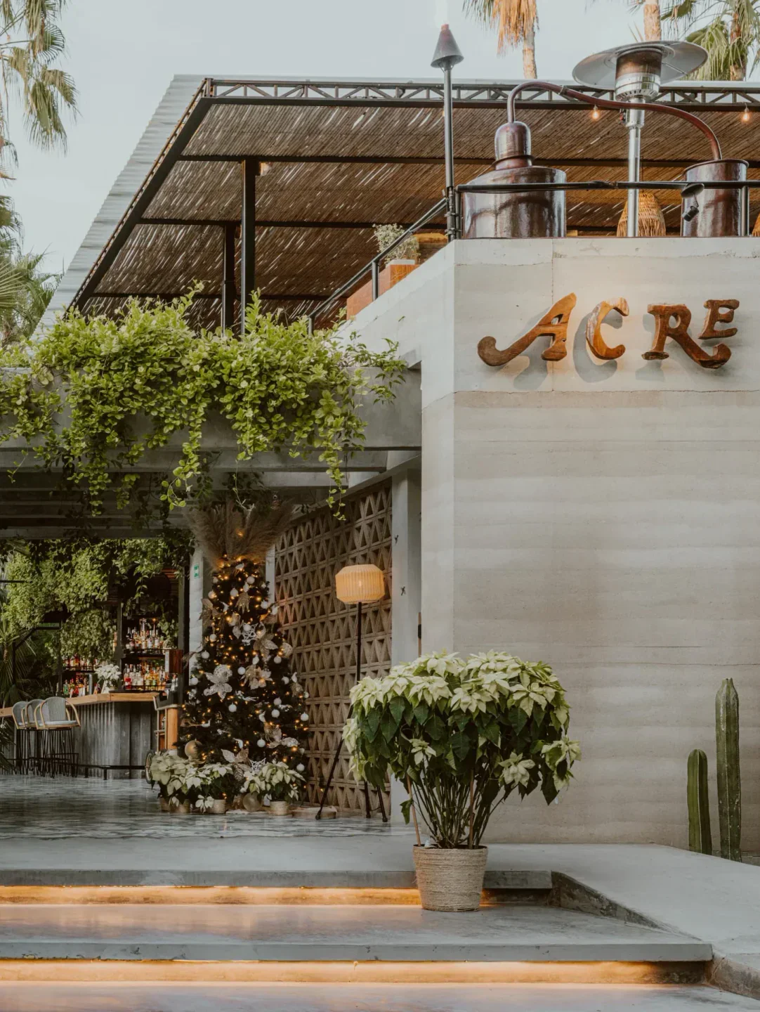 Entrance to Acre restaurant in San José del Cabo, with bar and Christmas decor