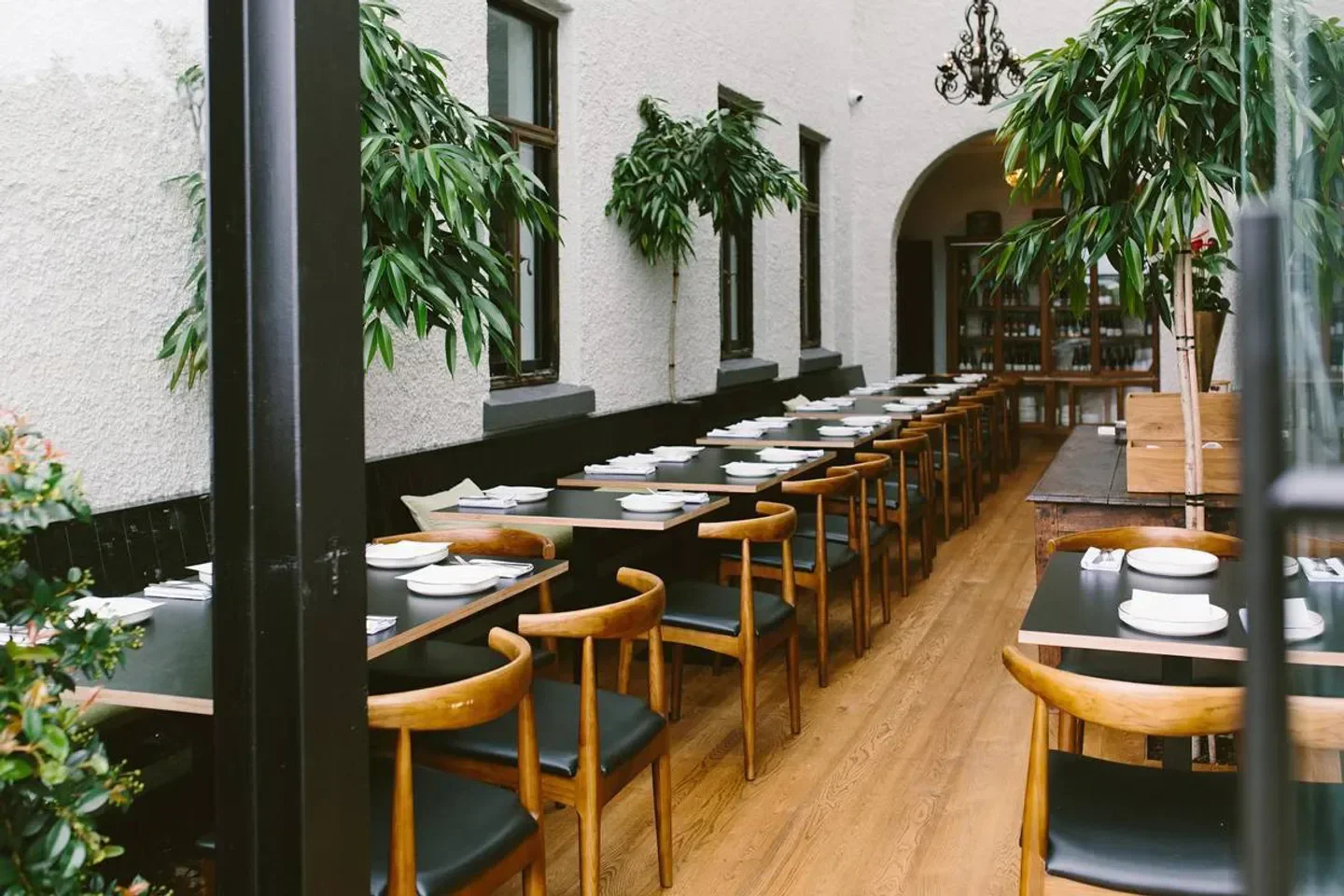 Interior dining space at Ada Restaurant in Auckland, featuring stylish wooden chairs and tables.