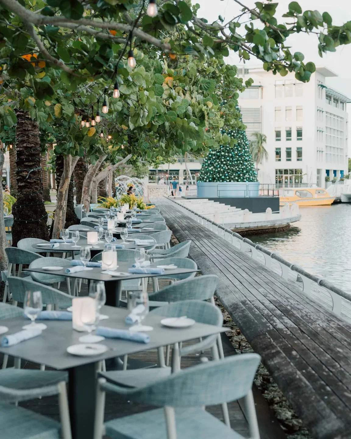 Blue by Eric Ripert Grand Cayman Reservations | Alotea Concierge