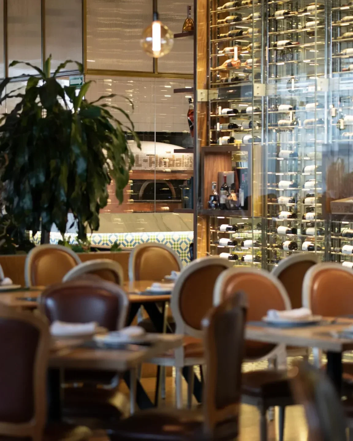 Interior of Al Andalus restaurant in Mexico City featuring a wine collection and dining tables.