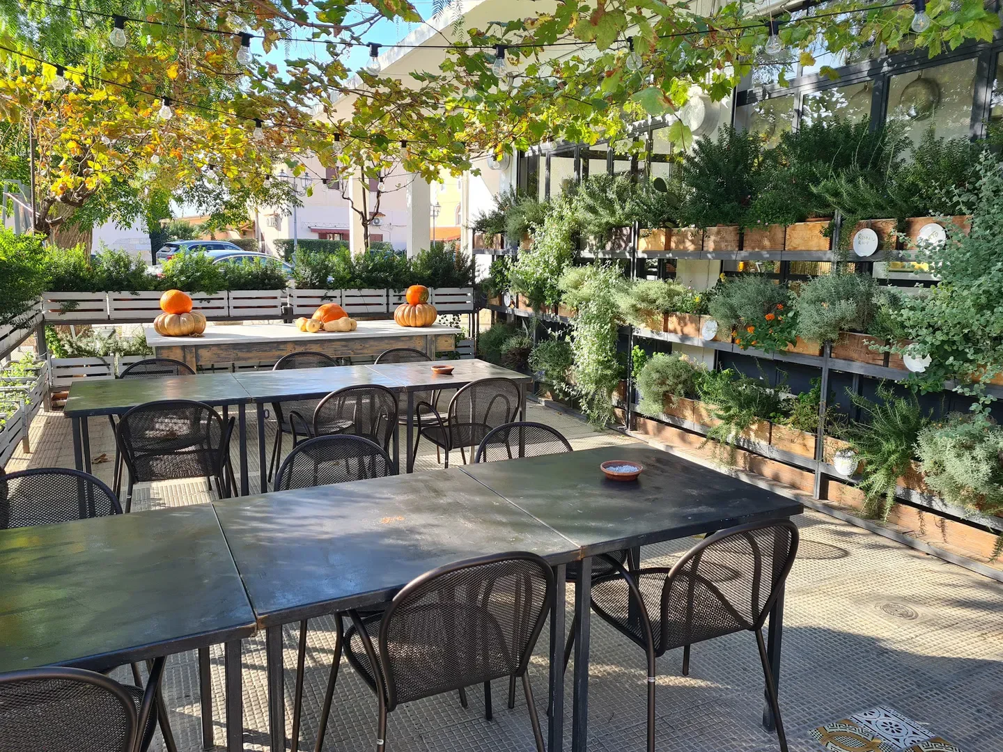 Outdoor seating at Antichi Sapori restaurant in Puglia, Italy, with tables and decorative gourds.
