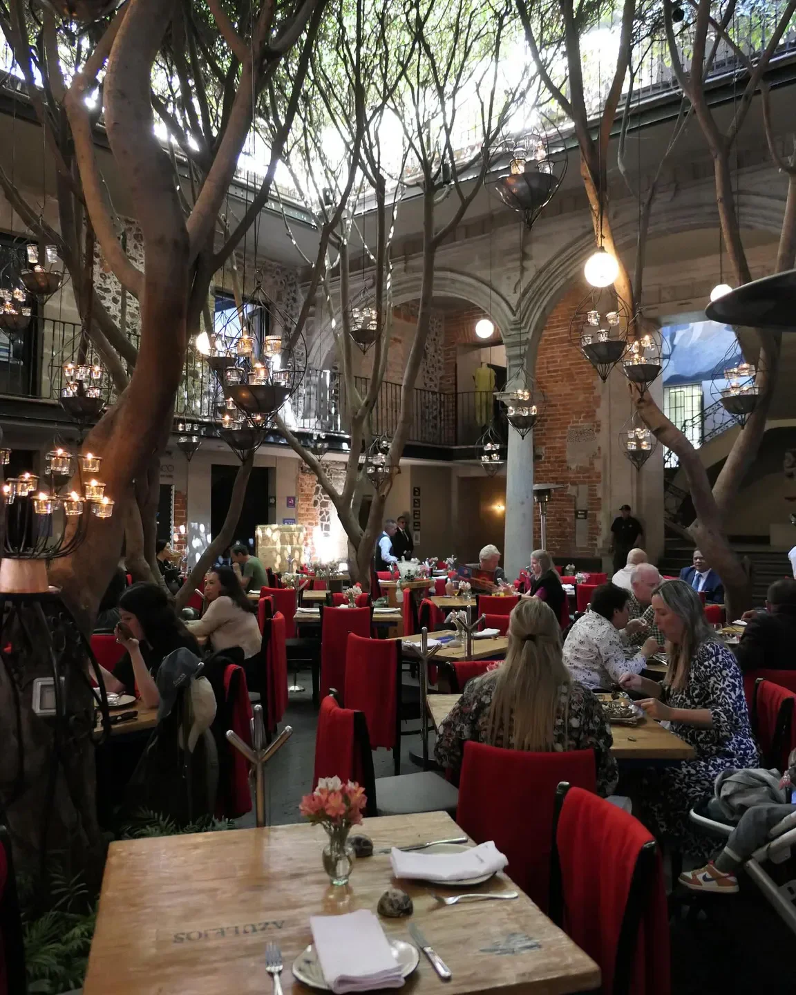 Elegant dining at Azul Histórico in Mexico City, with tree-lined interior and ambiance.