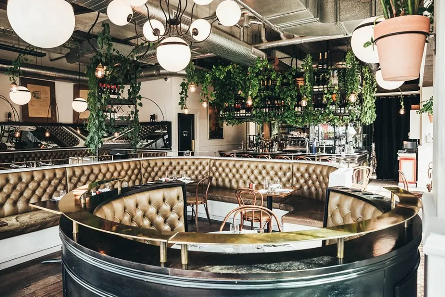 Interior of Baduzzi restaurant in Auckland with stylish seating, hanging plants and lighting.
