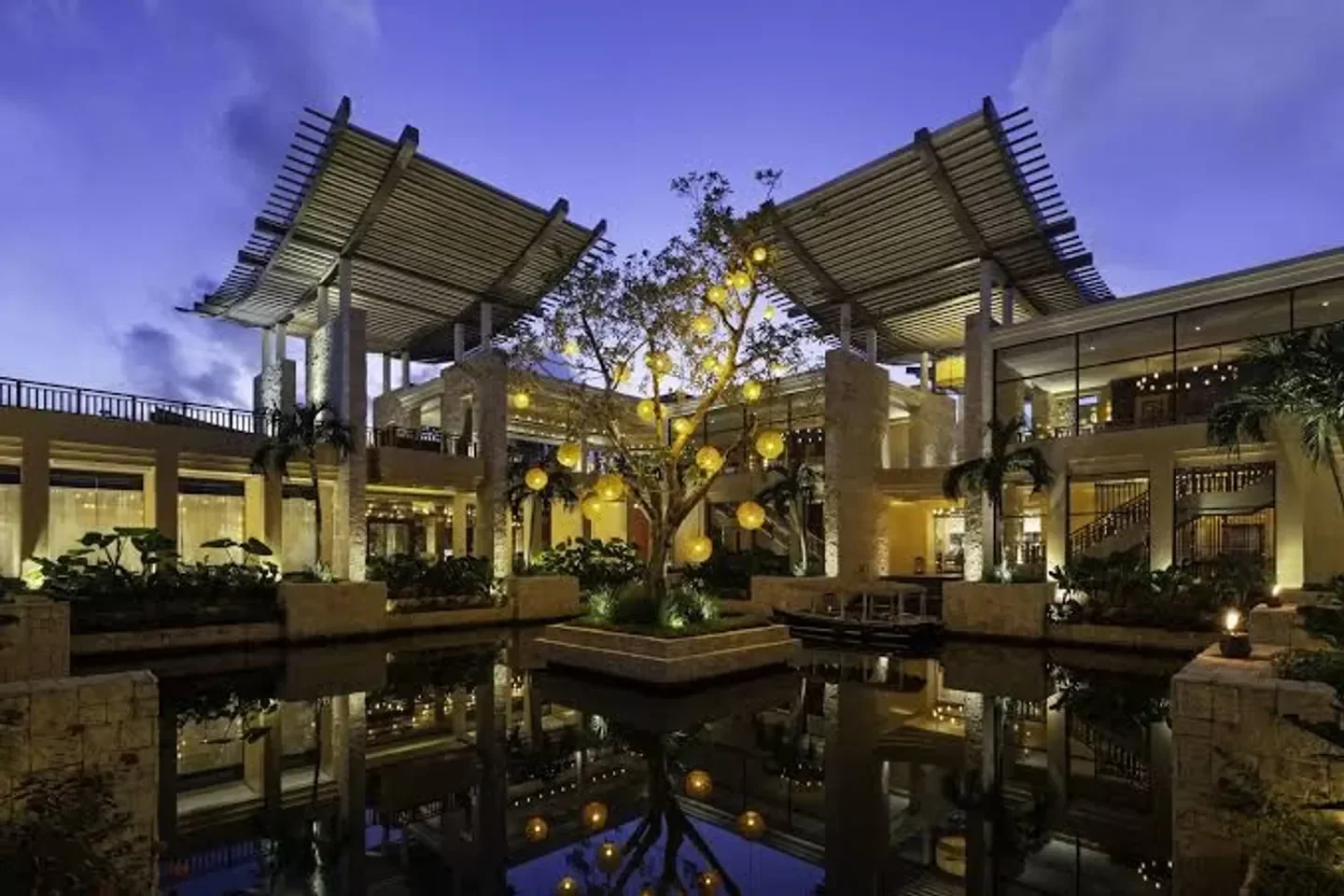 Banyan Tree Spa Mayakoba in Cancun, illuminated tree and water feature at dusk.