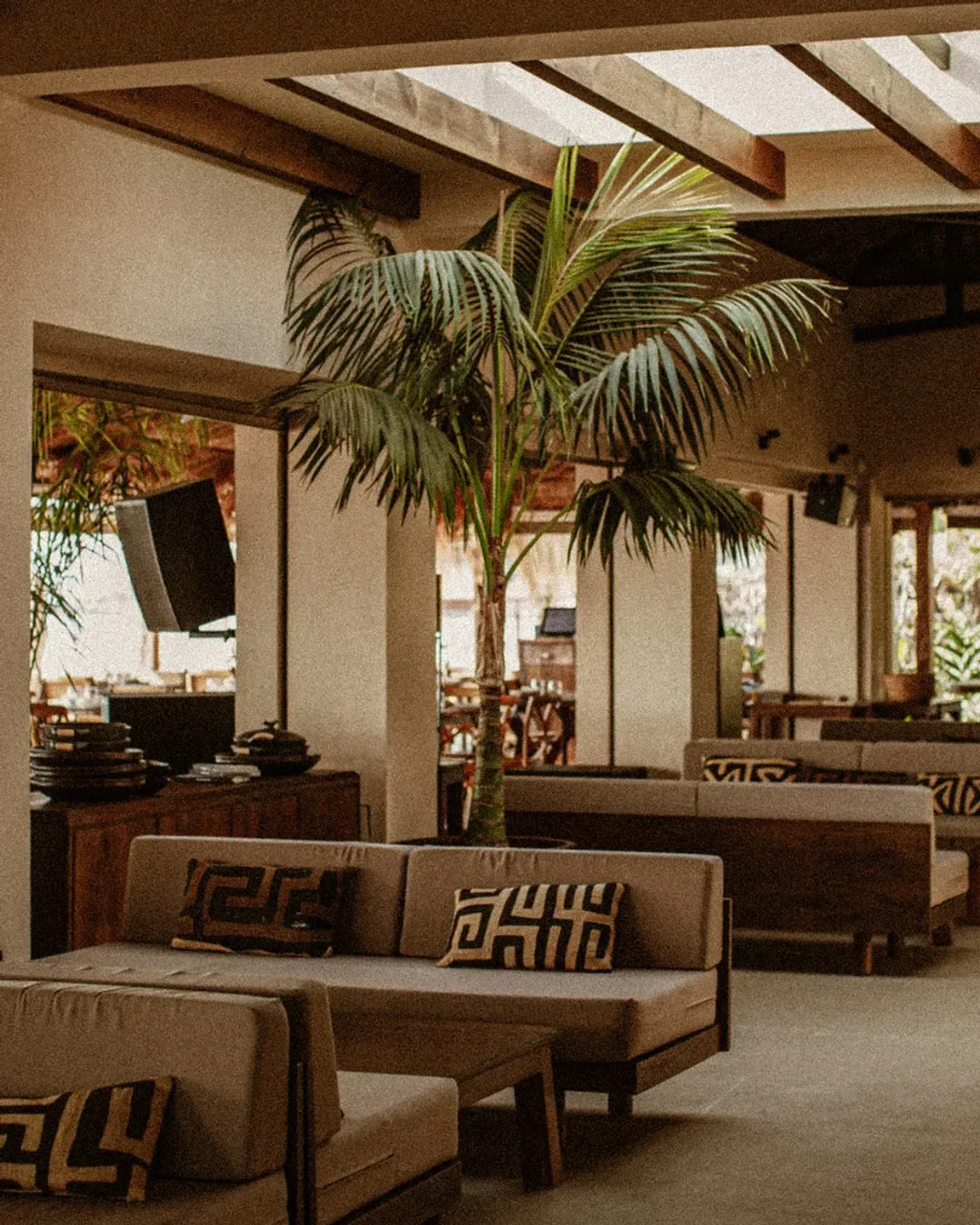 Interior of Beachouse Ibiza restaurant featuring stylish seating and tropical palm tree