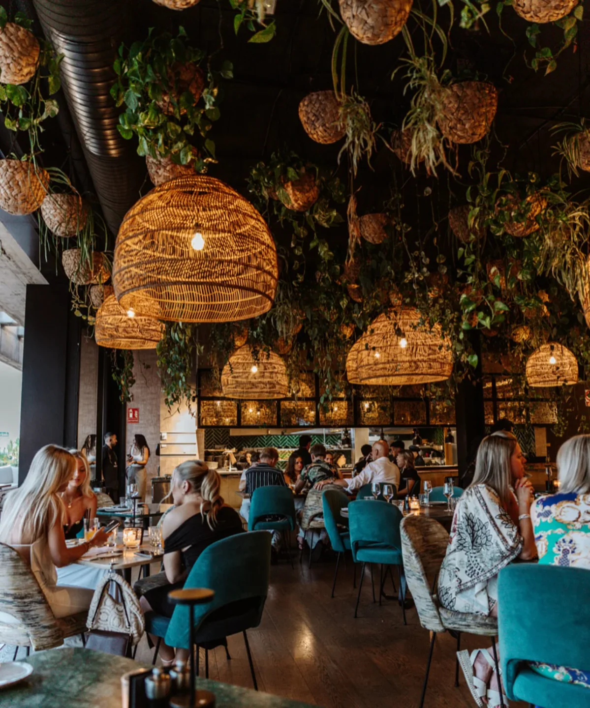 BREATHE restaurant interior featuring lush hanging plants and unique wicker pendant lights in the city