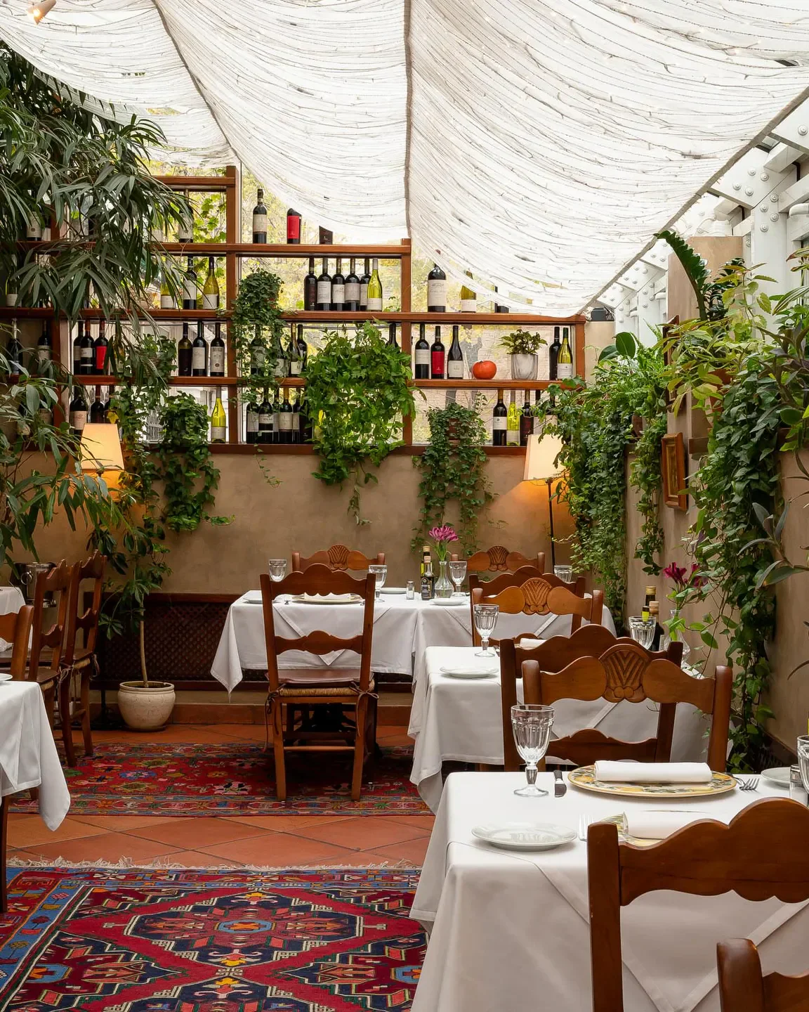 Cozy dining room at Cantinetta Antinori in Moscow, with wine bottles and plants