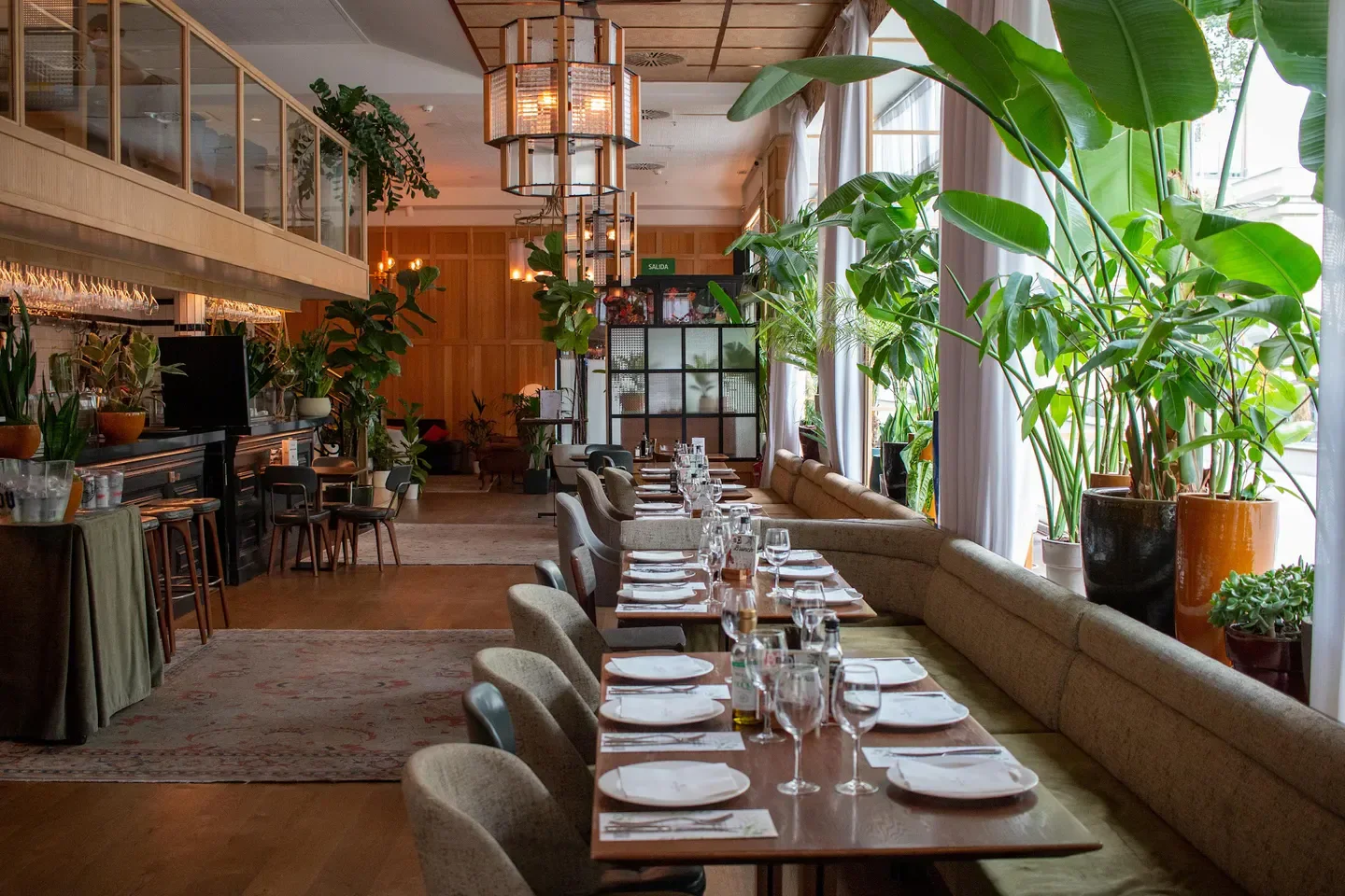 Interior of Casa Suecia restaurant in Madrid, showcasing elegant dining with lush plants.