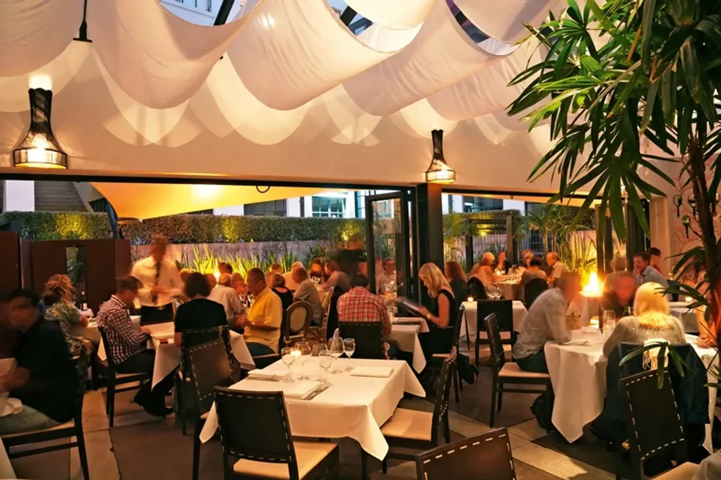 Dining scene at Cibo restaurant in Auckland, with a stylish interior and a lively atmosphere.