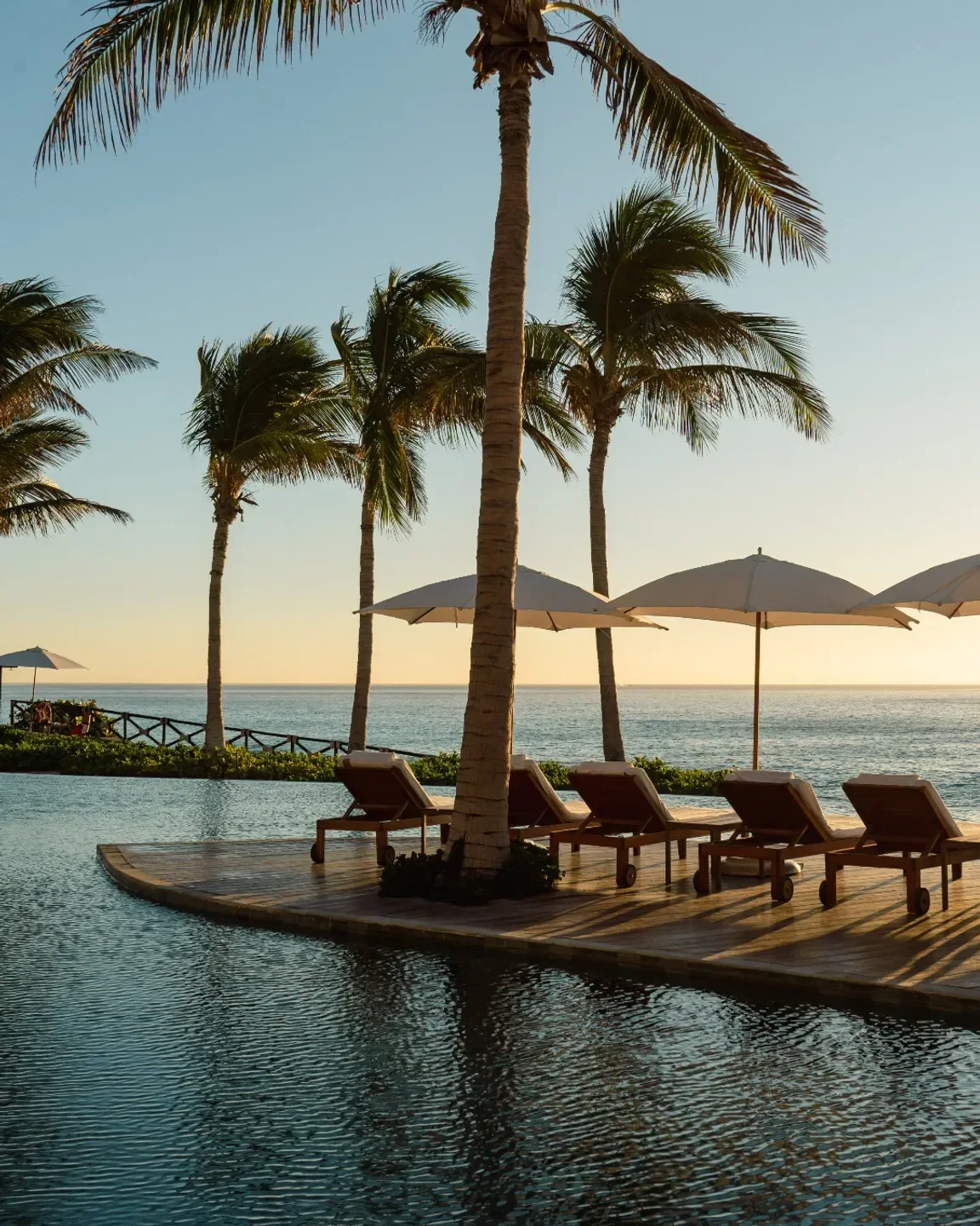 Cocina de Autor Los Cabos in San José del Cabo, pool and ocean views with palm trees