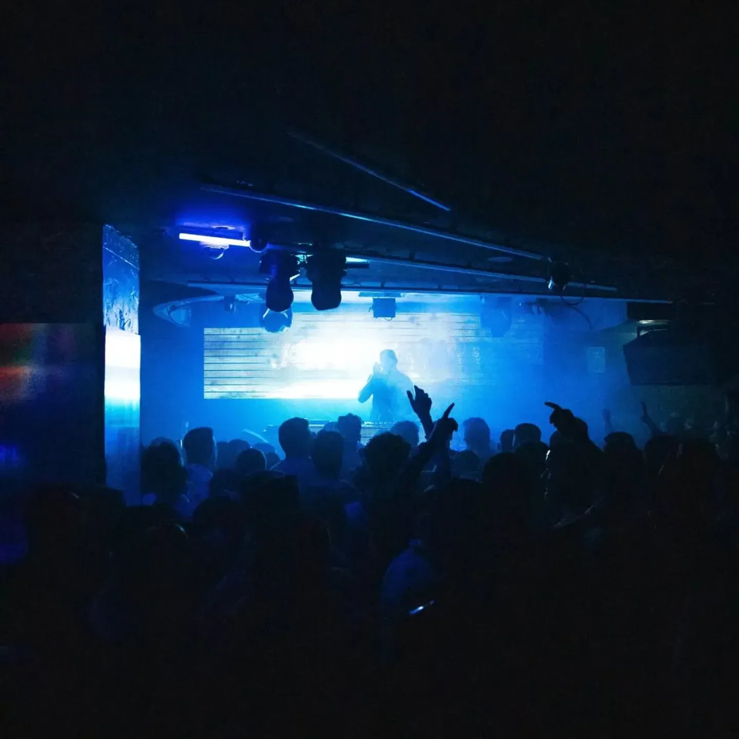 Energetic crowd at CULT nightclub in Sydney enjoying a live performance under blue lights.