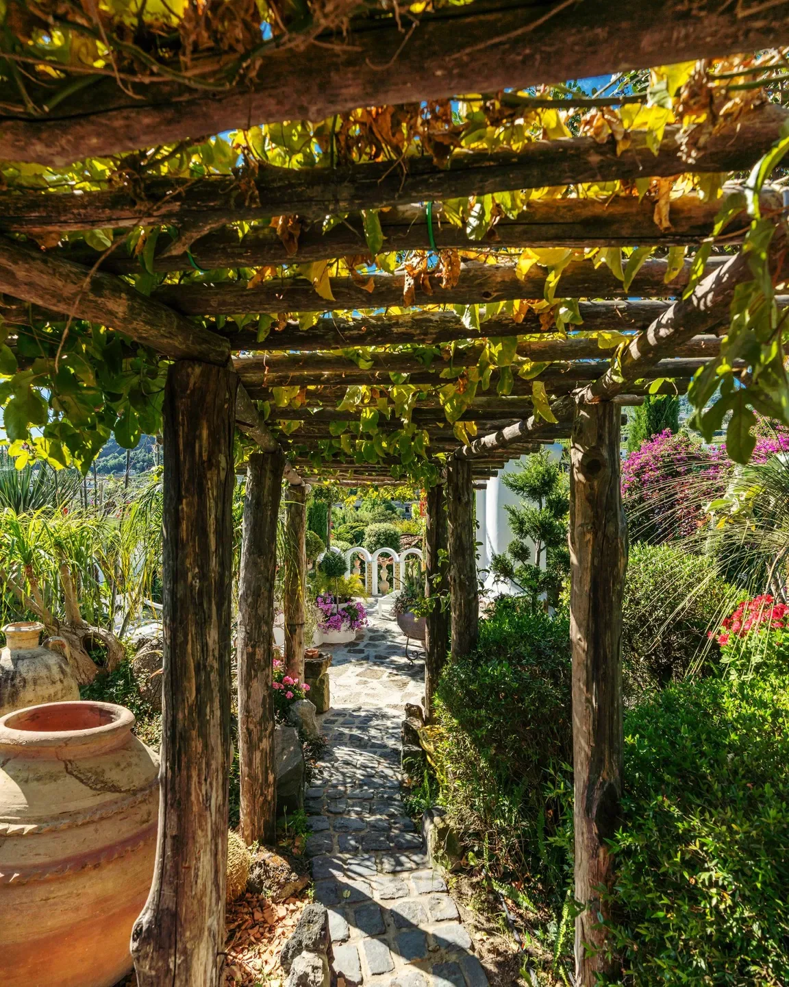 Pathway at Danì Maison in Campania, framed by a wooden pergola and lush greenery.