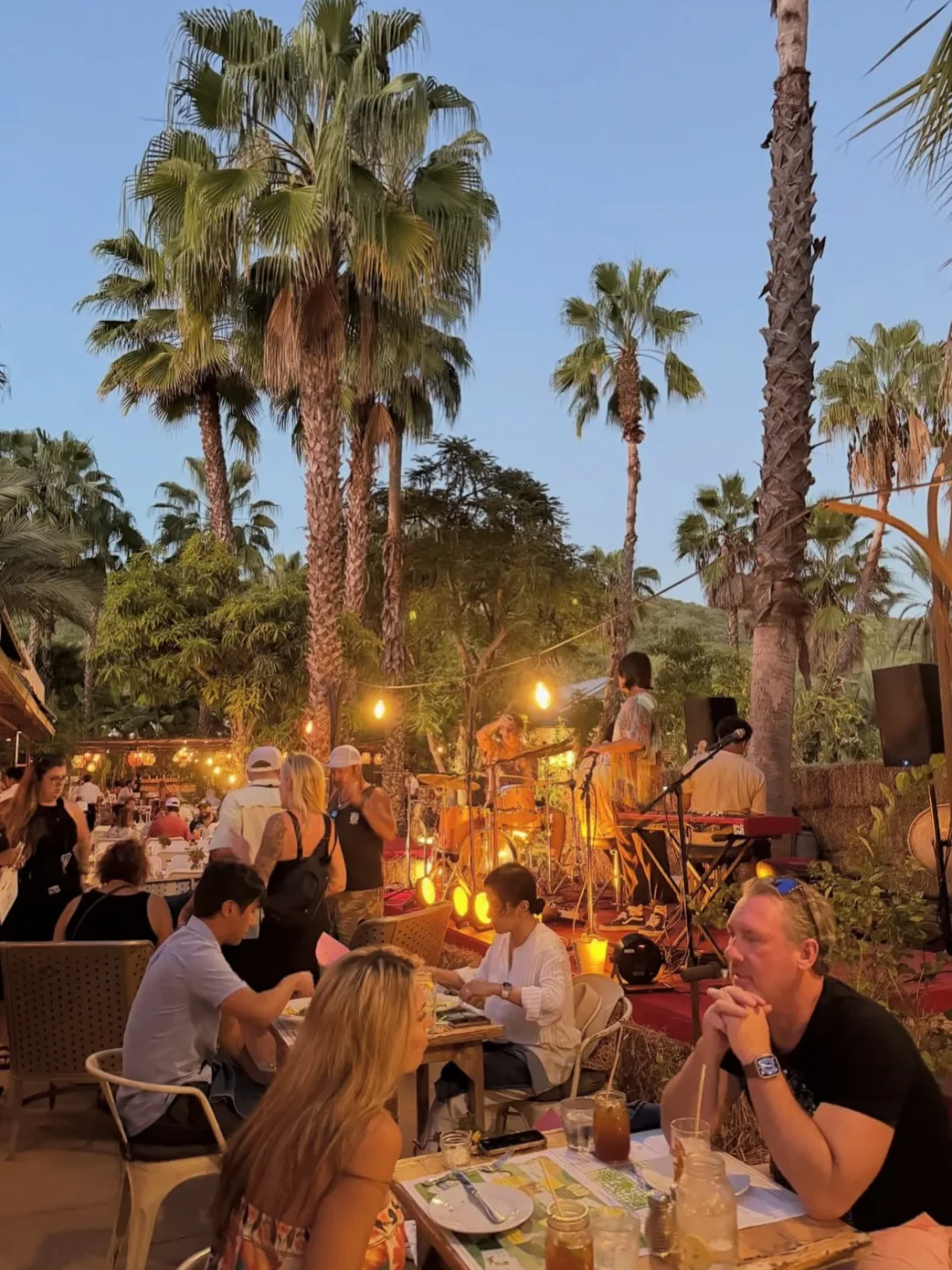 Outdoor dining ambiance at Flora's Field Kitchen in San José del Cabo, Mexico, with live music and palm trees.