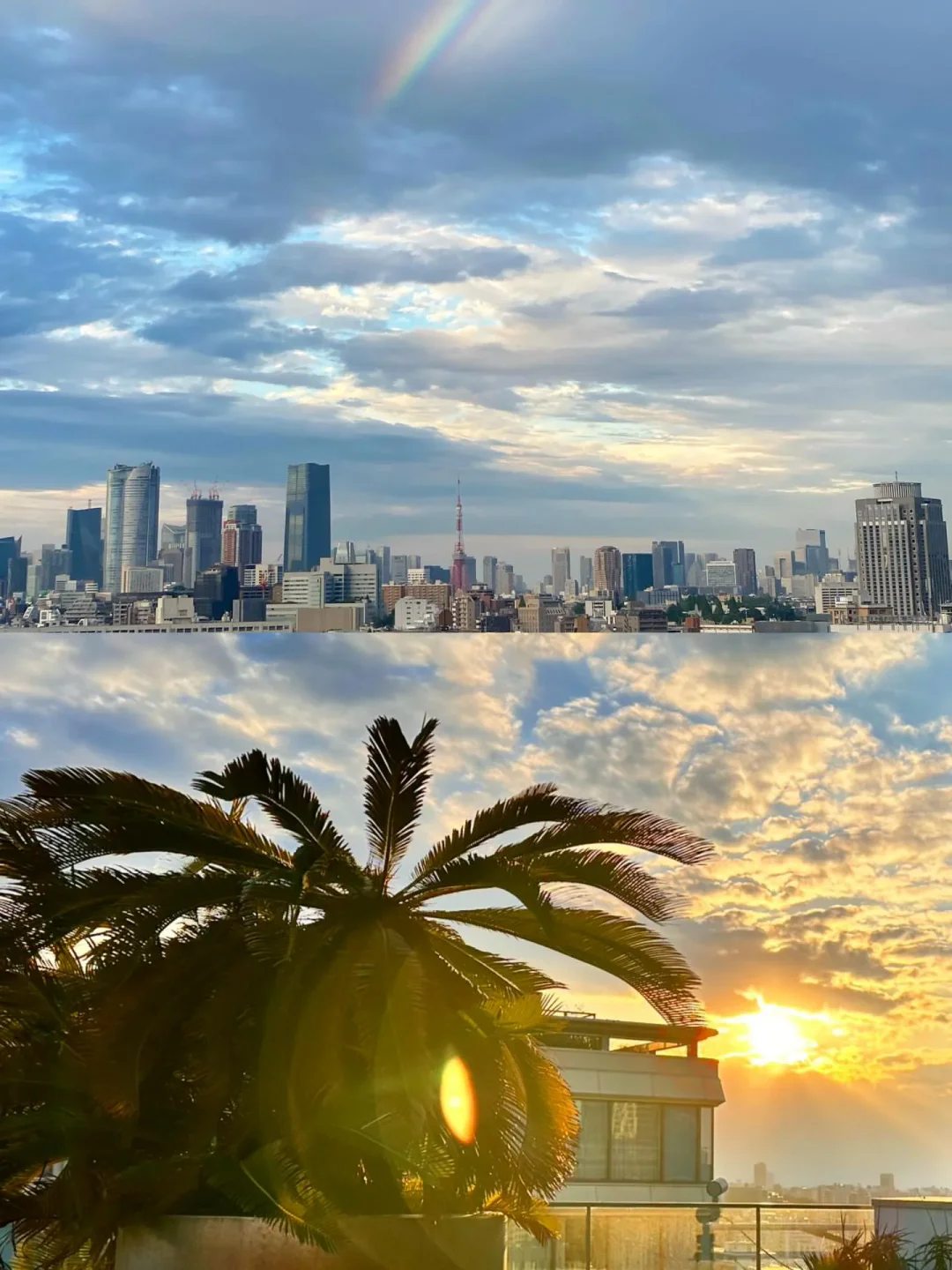 Hacienda Del Cielo rooftop view of Tokyo skyline with rainbow and sunset clouds over palm fronds.