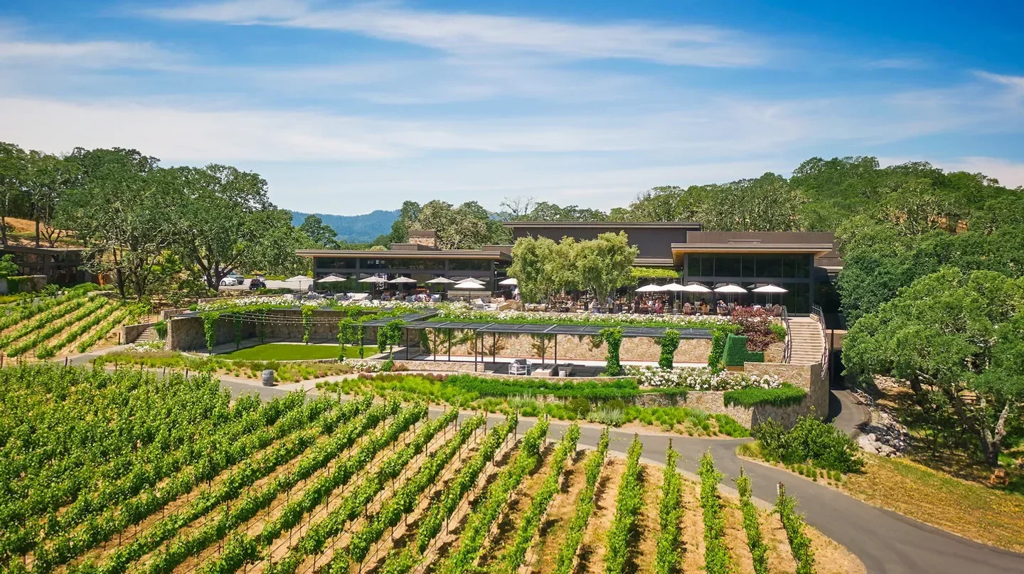 Vineyard and restaurant at Hazel Hill in Healdsburg, California, with outdoor seating.