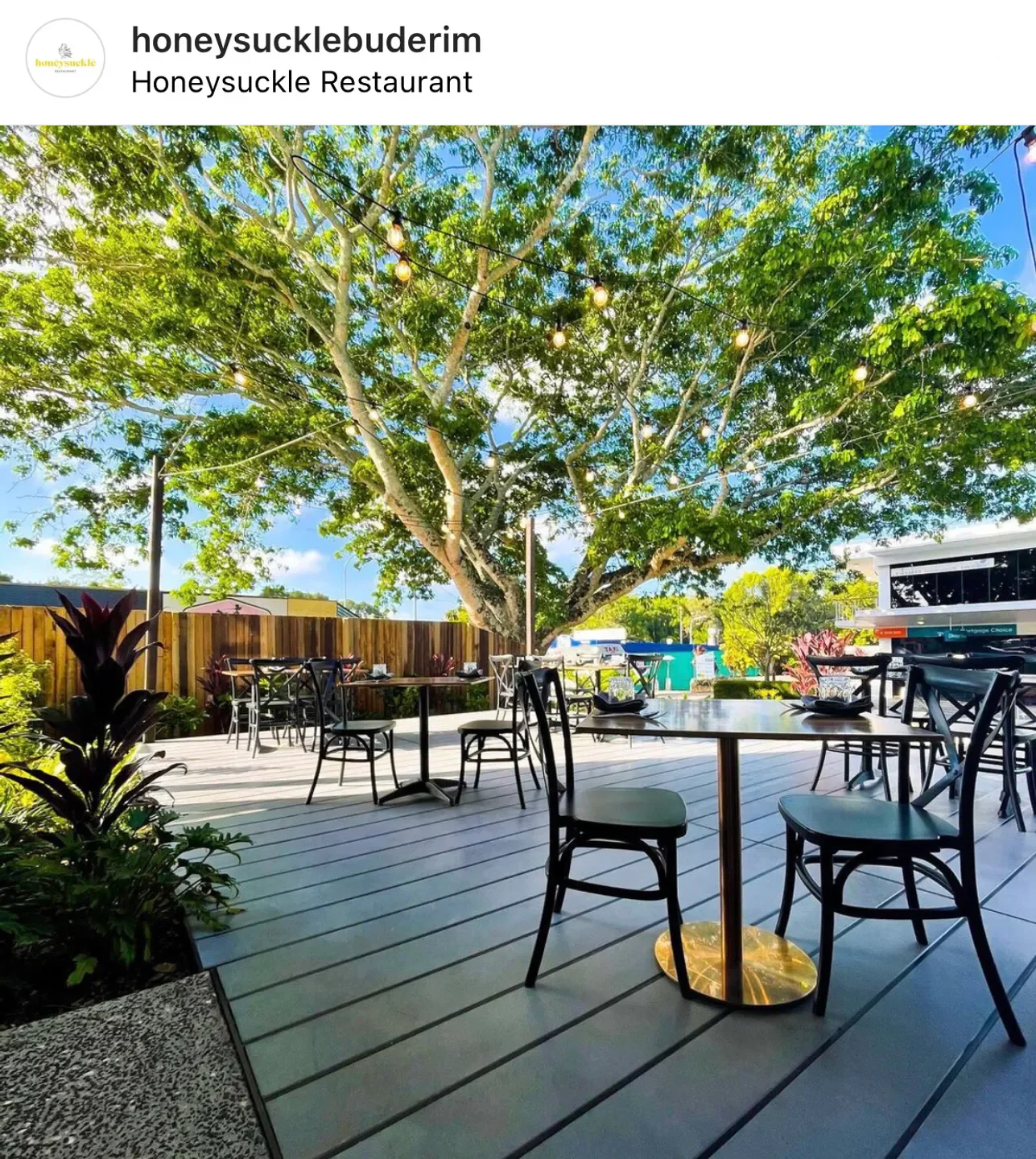 Outdoor dining area at Honeysuckle Restaurant on the Sunshine Coast under a large tree.