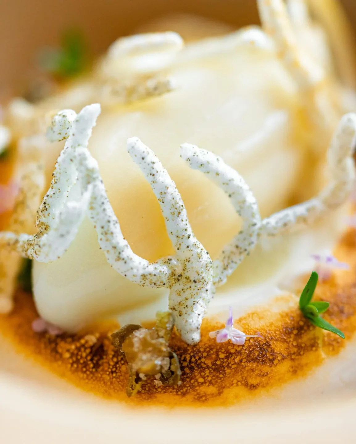 /italian-riviera/restaurants/cracco-portofino food photo