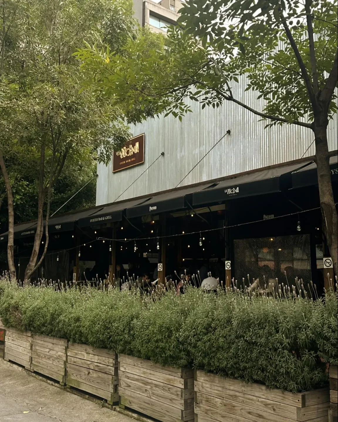 Exterior view of La Docena restaurant in Mexico City with outdoor seating and lush greenery.