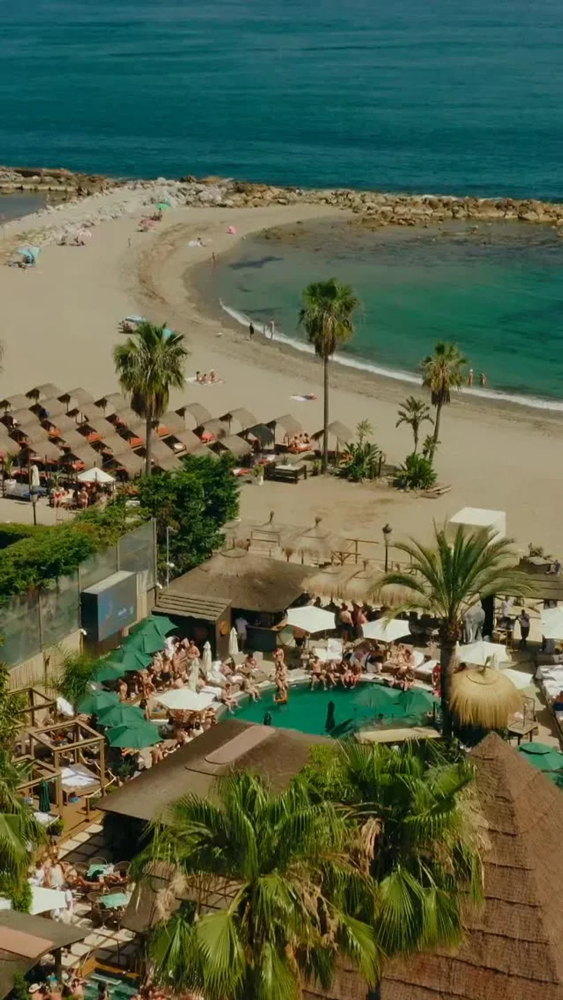 La Sala by the Sea boasts a vibrant pool and beach scene with palm trees and ocean views in the city.
