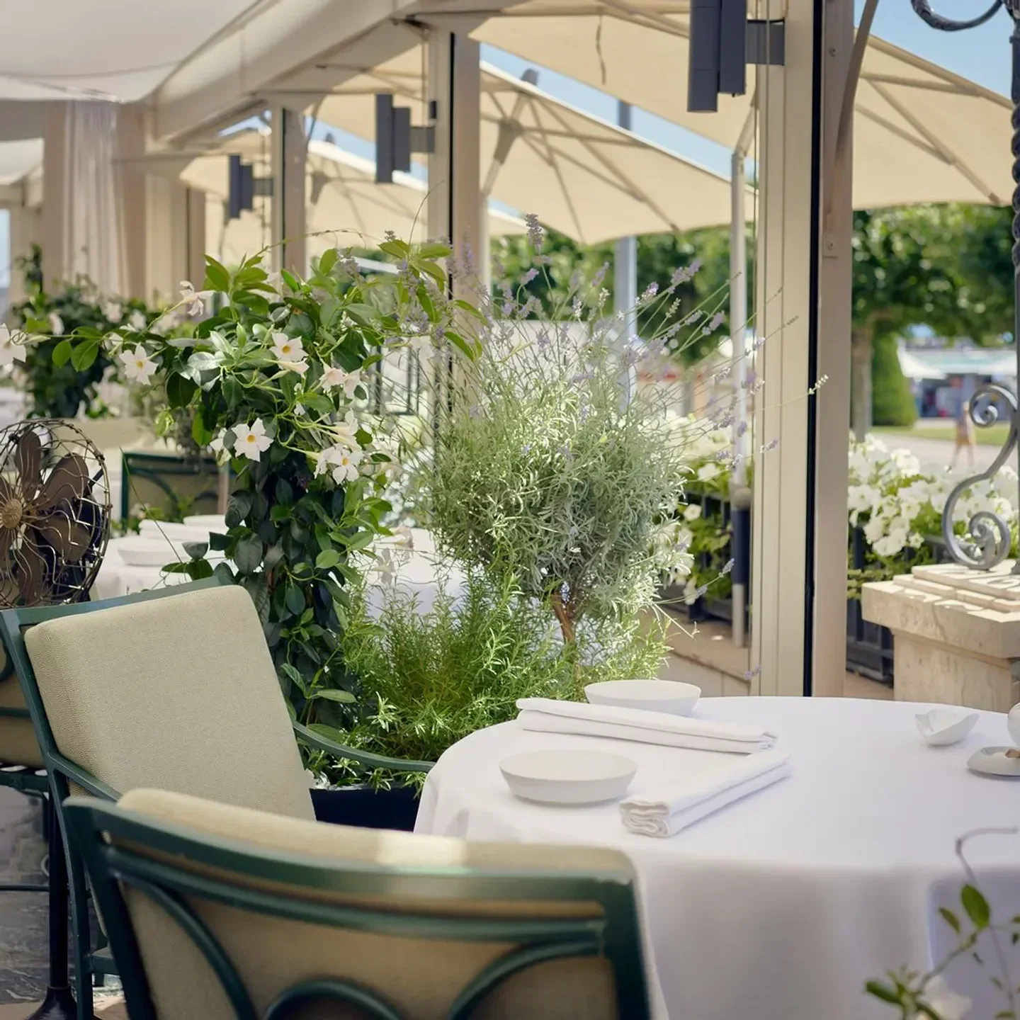 The TOP 10 Fine Dining Restaurants in Geneva