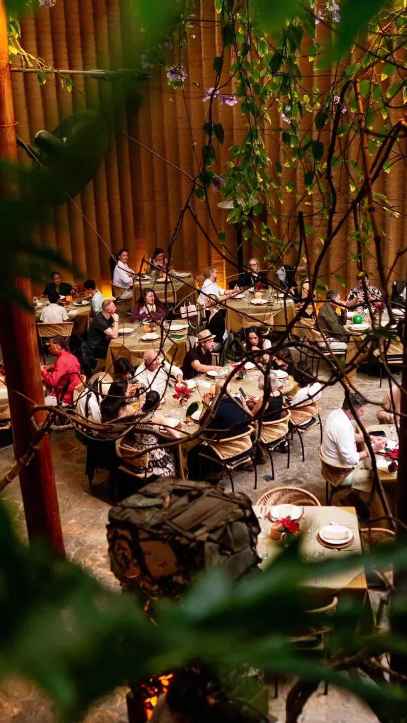 Dining scene at Los Danzantes Oaxaca, an elegant restaurant in Oaxaca, Mexico.