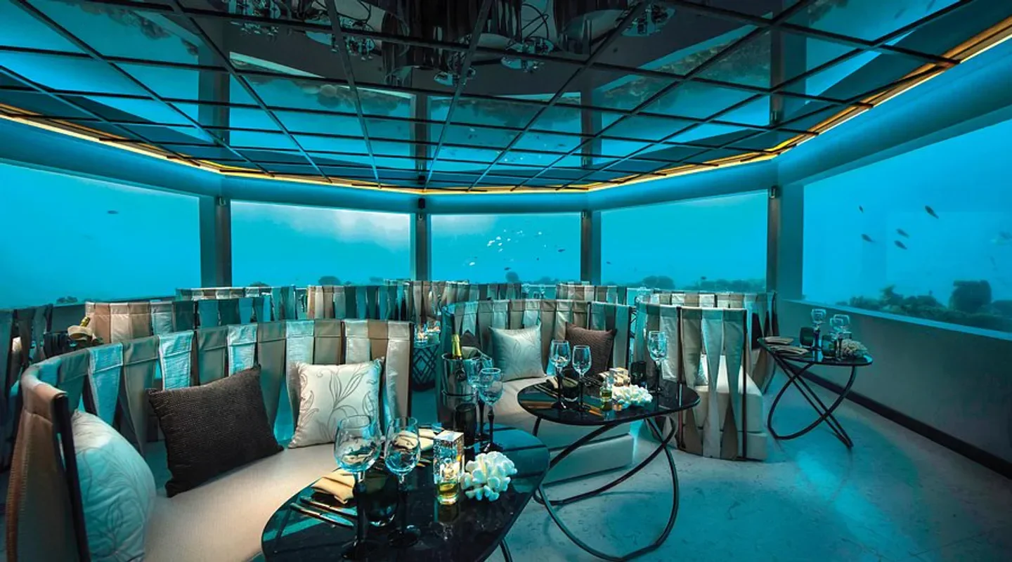 Dining at M6M Minus Six Meters restaurant in the Maldives, surrounded by marine life.