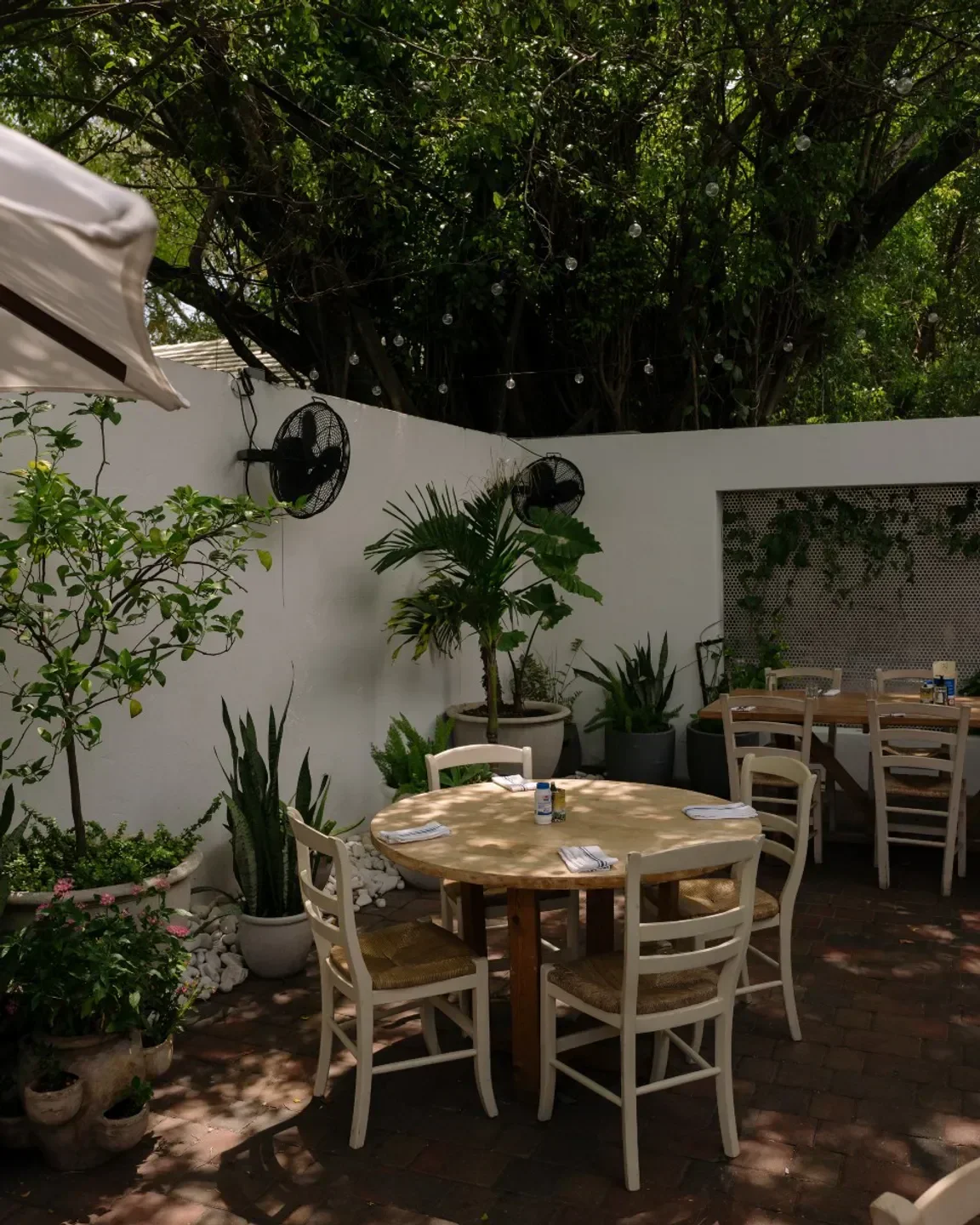The TOP 10 Seafood Restaurants in Miami