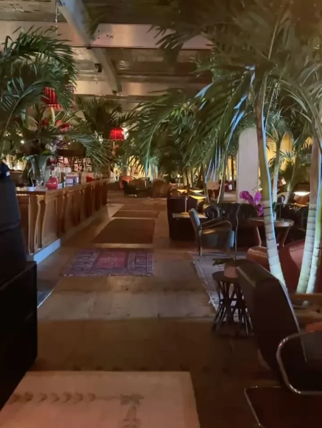 Lush palm trees and Moroccan rugs create a unique atmosphere inside Mare by Casa Tua restaurant in Capri.
