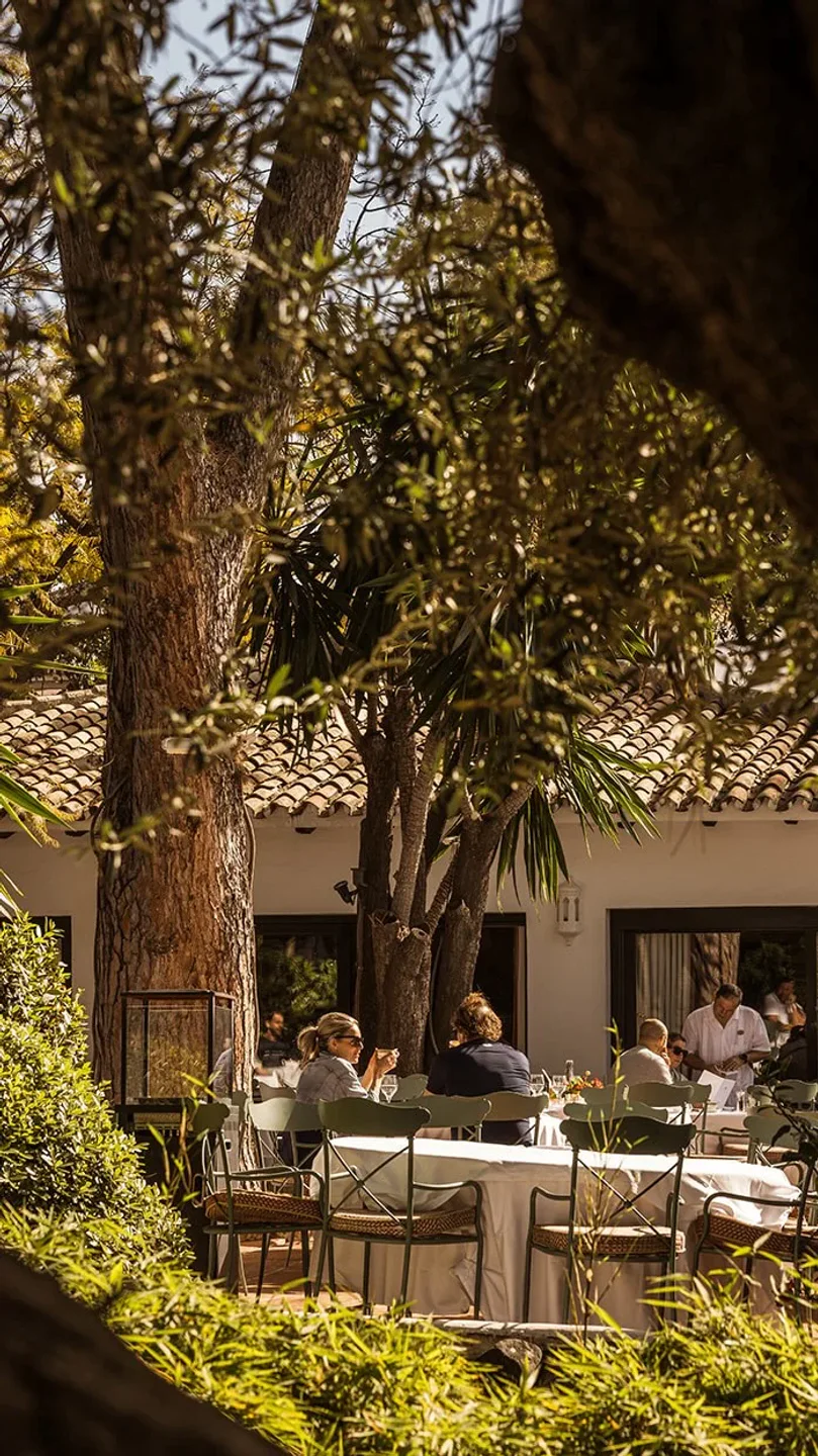 Dine al fresco at MC Beach Marbella, enjoying the garden ambiance and Mediterranean sunshine.