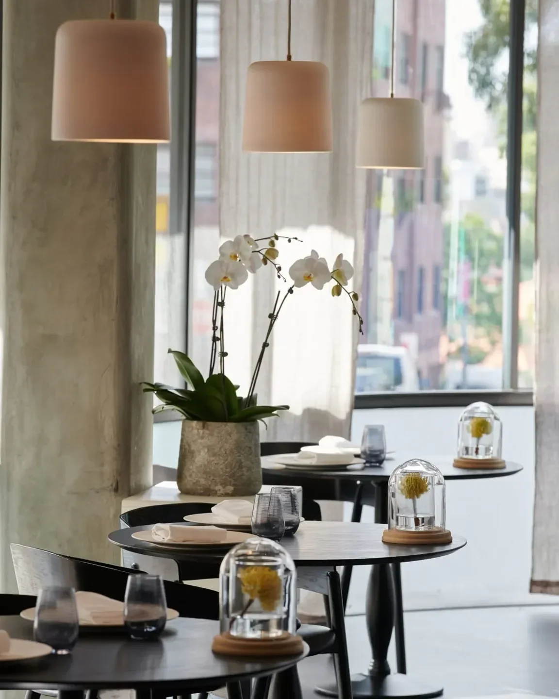 Best Restaurants in Sydney | Alotea Concierge