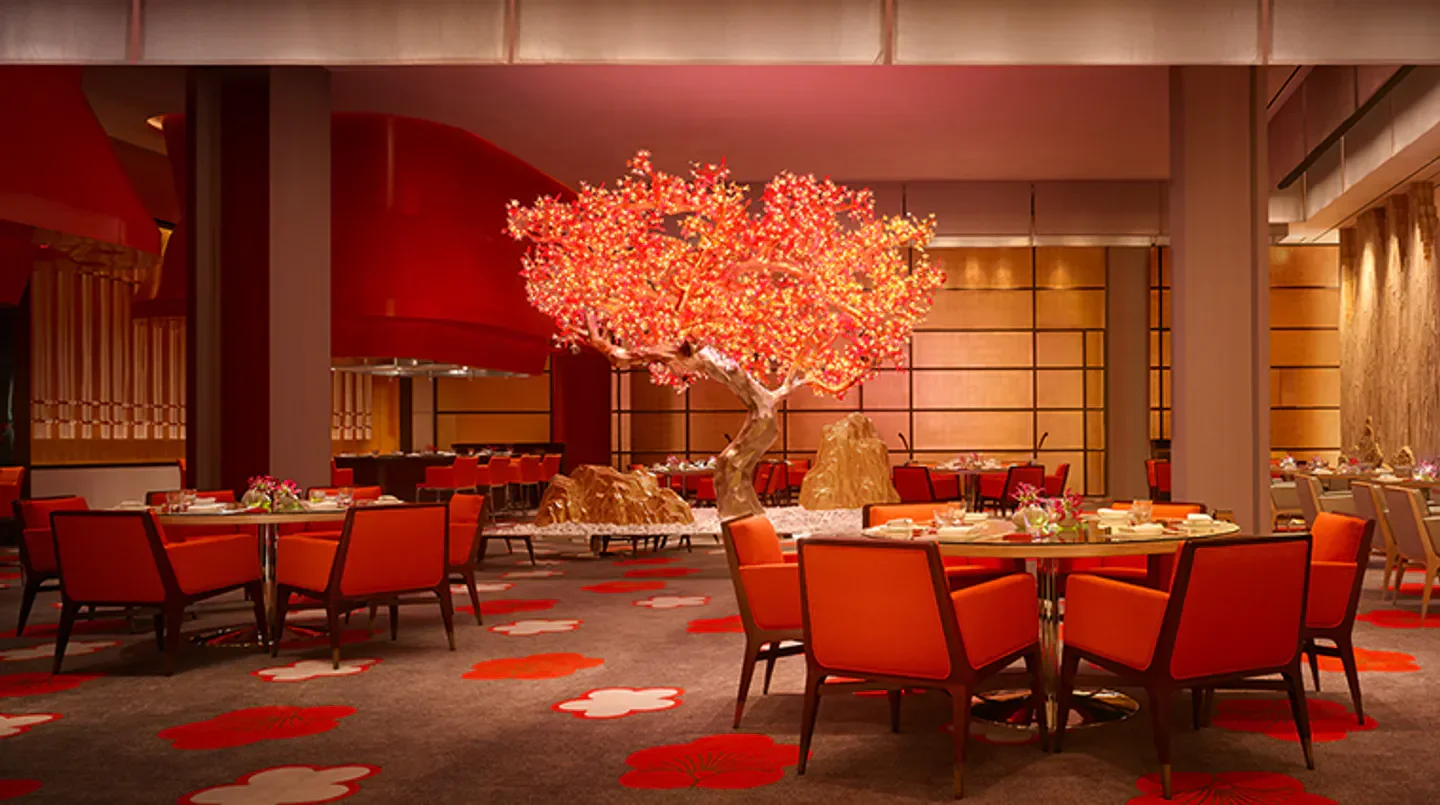 Interior of Mizumi at Wynn Palace Macau restaurant with vibrant decor and unique tree.