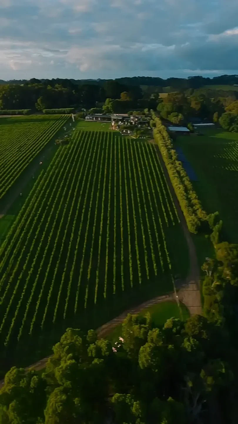 Aerial view of Montalto restaurant and vineyard in the Mornington Peninsula.