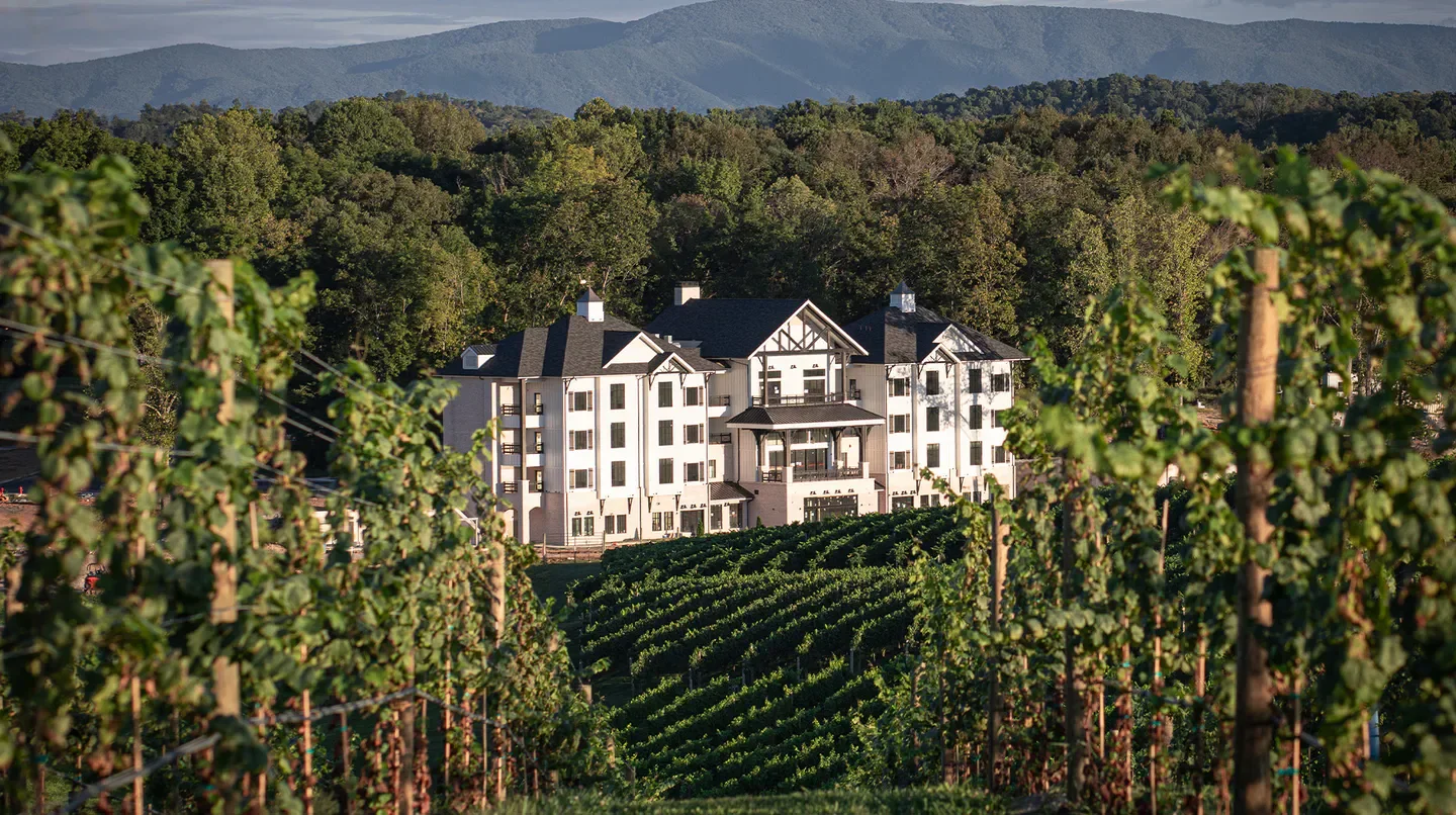 Nicewonder Farm & Vineyards in Charlottesville, hotel nestled among lush vineyards and rolling hills.