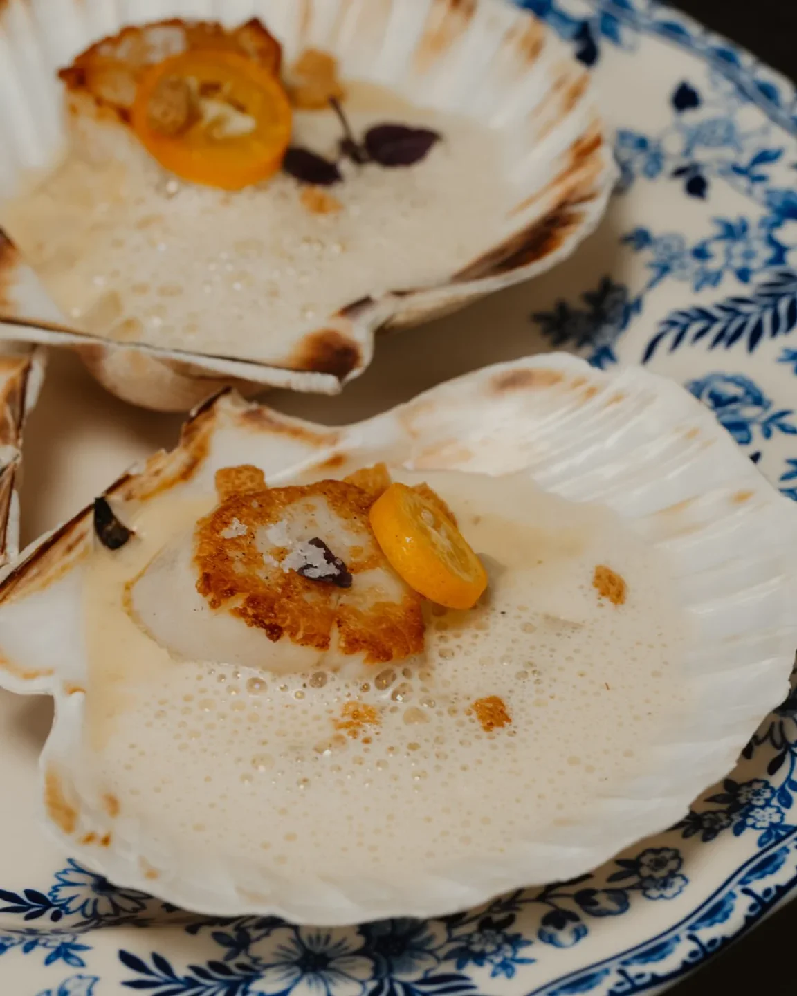 Nikki Beach restaurant serves delicious seared scallops with kumquat and foamy sauce in shells.