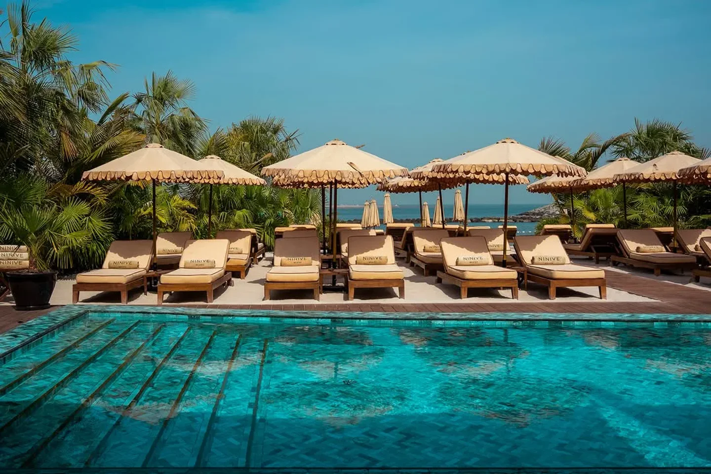 Ninive Beach offers a luxurious pool area with sun loungers and umbrellas overlooking the ocean in the city.