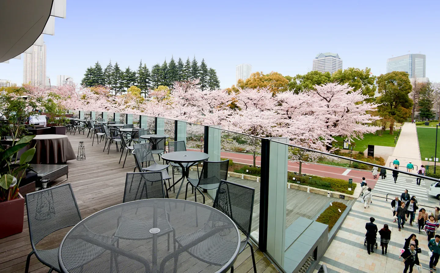 Outdoor terrace at Nirvana New York in Tokyo with cherry blossoms in bloom.