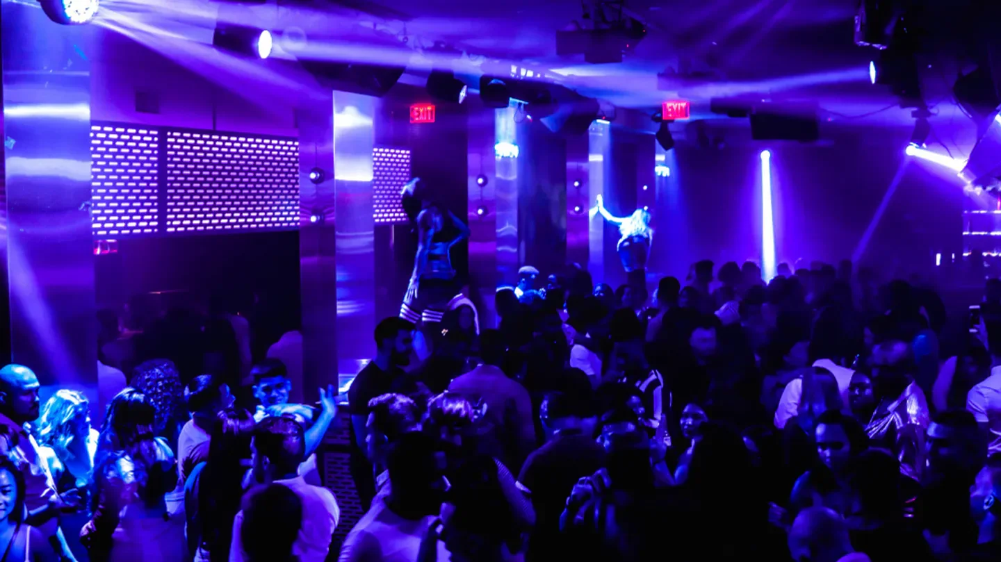 Energetic nightlife scene at Onyx Room nightclub in San Diego with purple lighting.