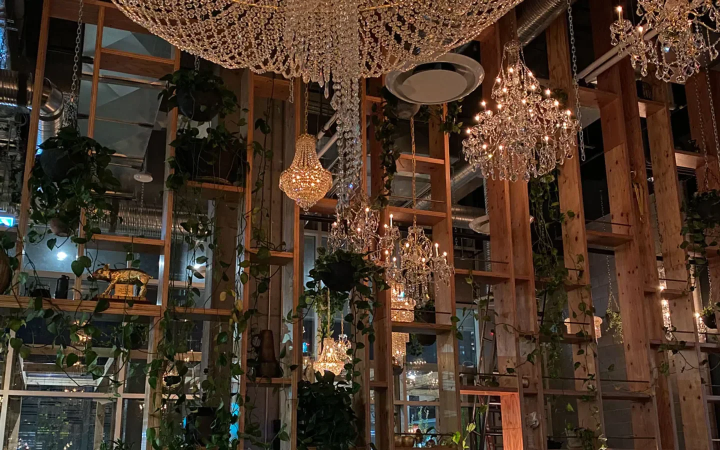 Interior of Orchard Restaurant in Calgary featuring chandeliers and green vines