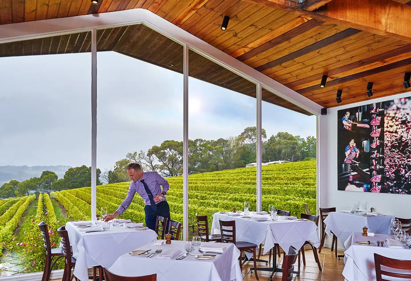 Dining room at Paringa Estate restaurant in Mornington Peninsula overlooking vineyard.