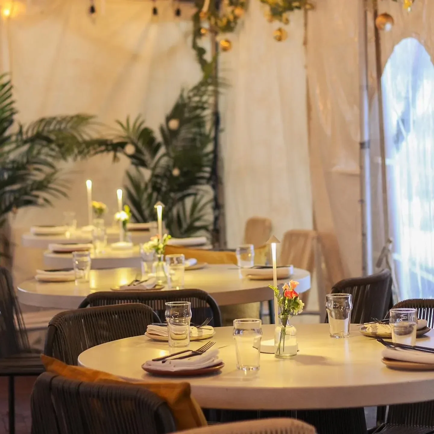 Cozy dining area inside Pascual restaurant in Washington, with tables set for dinner.