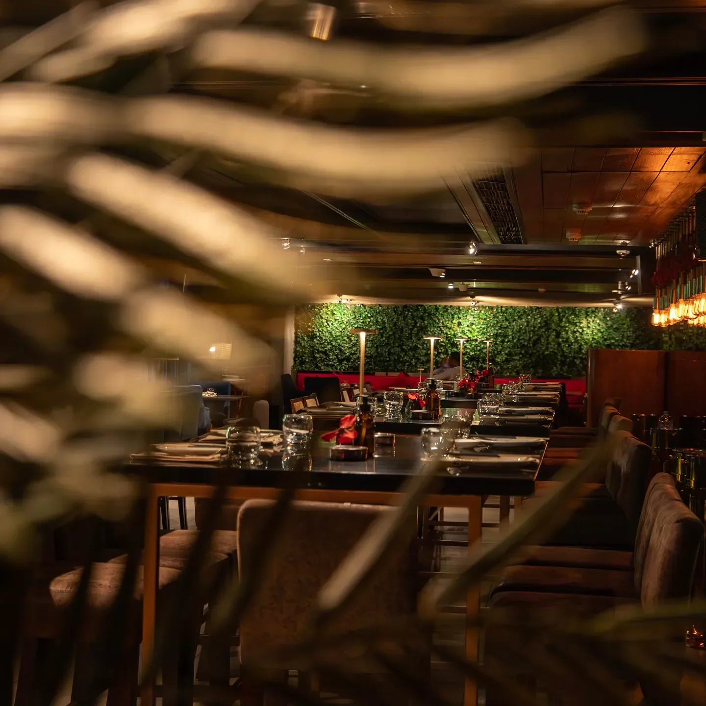 Elegant dining at SACHI - Cairo restaurant, showcasing modern design in Cairo.