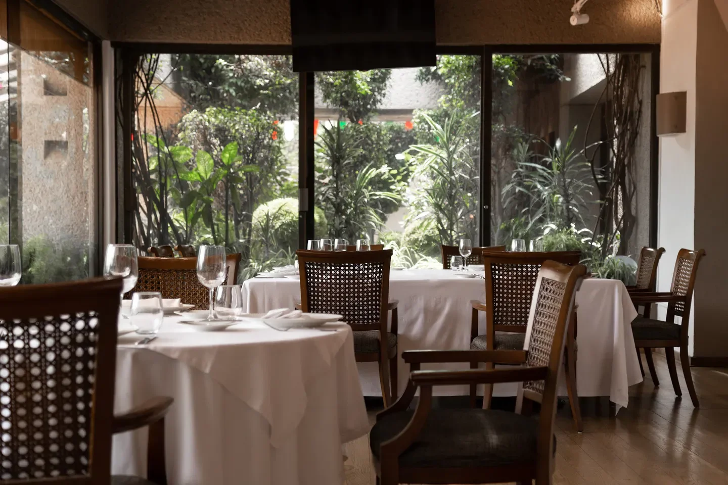Elegant dining at Sept Cinq 75 Francia in Mexico City, with garden view and tables set.