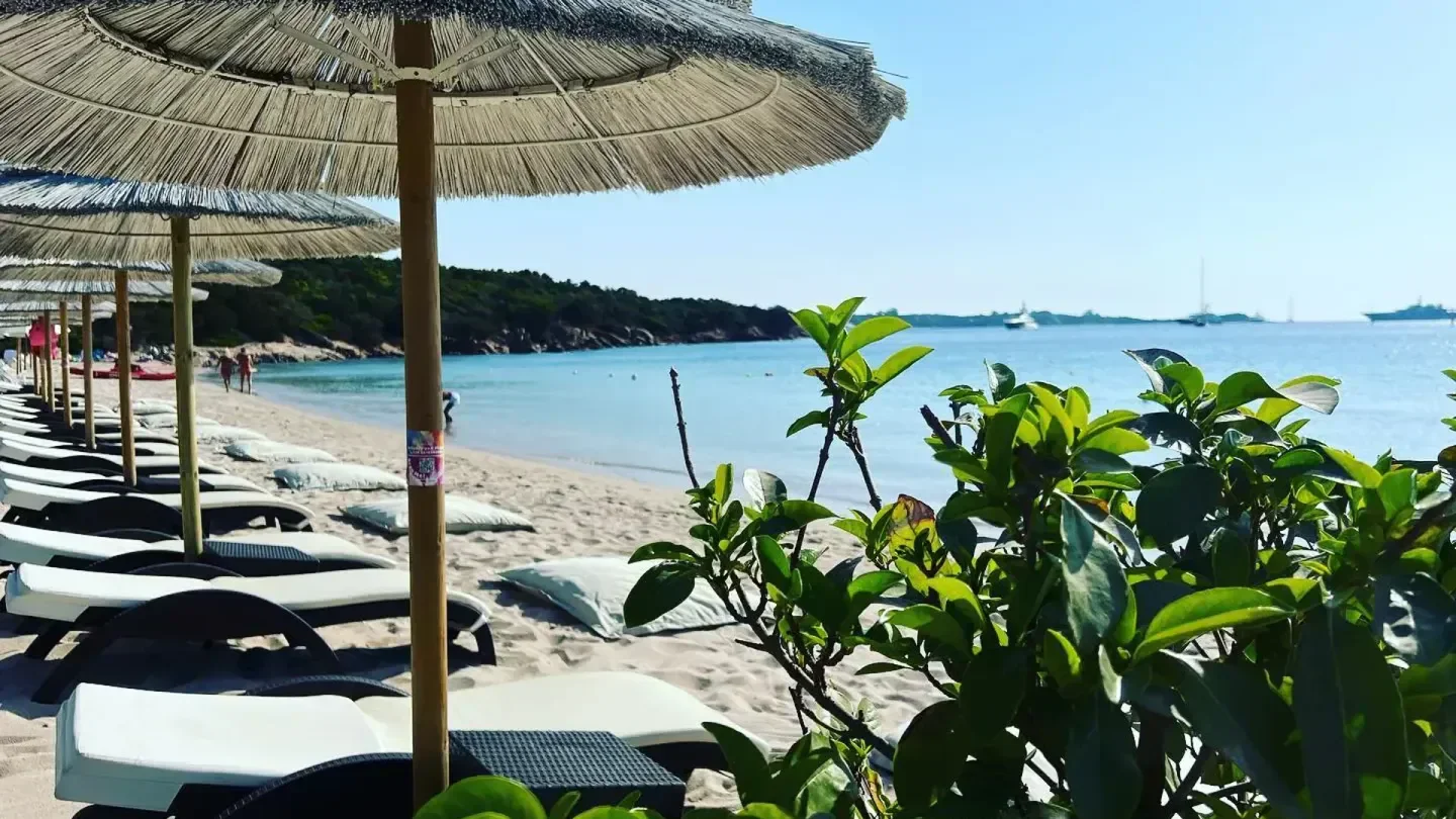 Beach scene at Shardana Beach Club in Porto Cervo with umbrellas and ocean view.