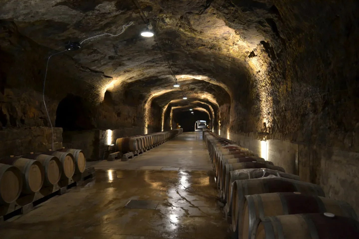 Stone House restaurant in Darwin: underground wine cellar with oak barrels and ambient lighting.