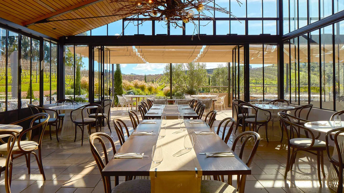 Dining room at Tantalus Estate, Auckland, with views of the vineyard