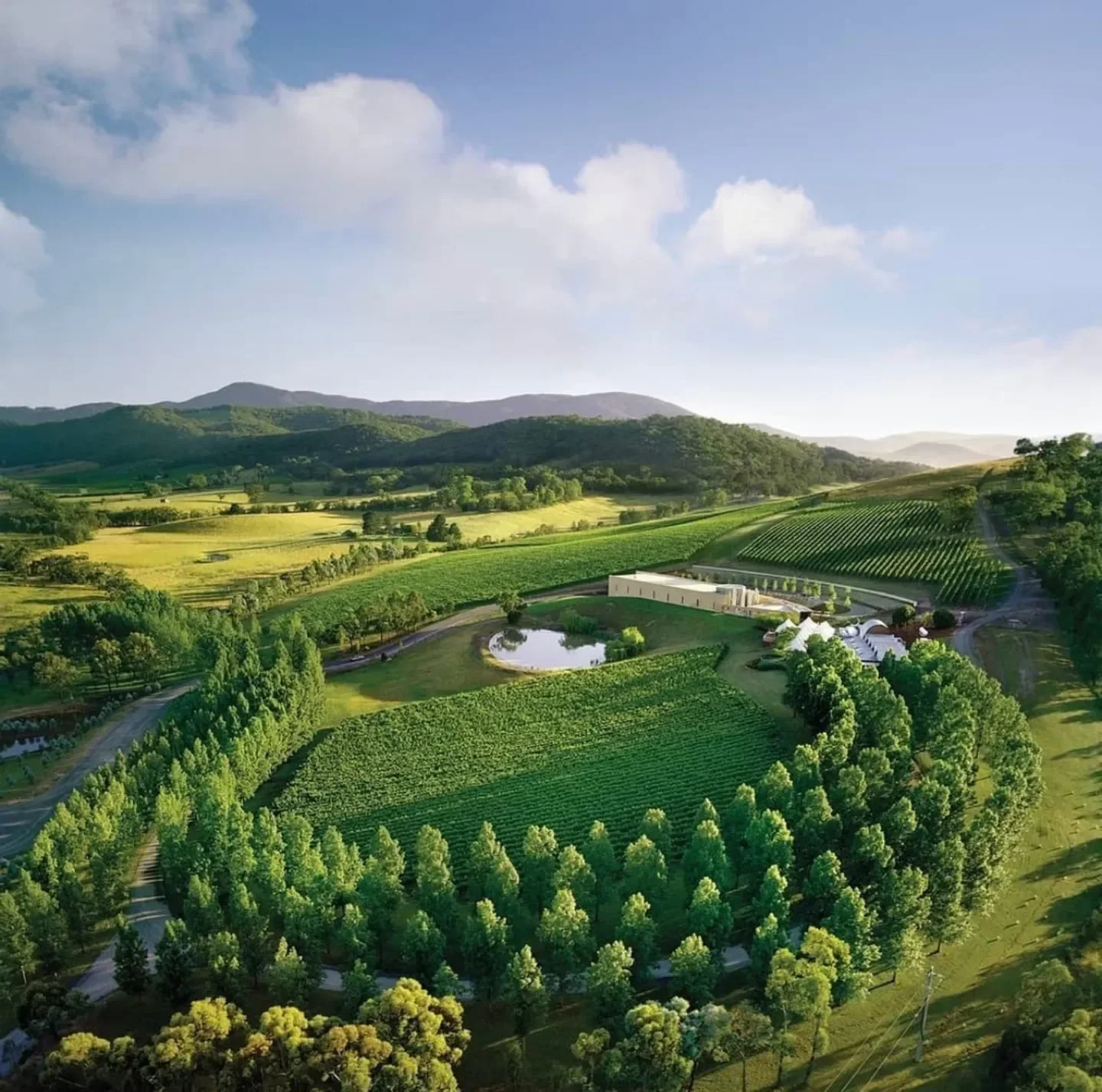 Aerial view of TarraWarra Estate Restaurant in the Yarra Valley, surrounded by lush vineyards.