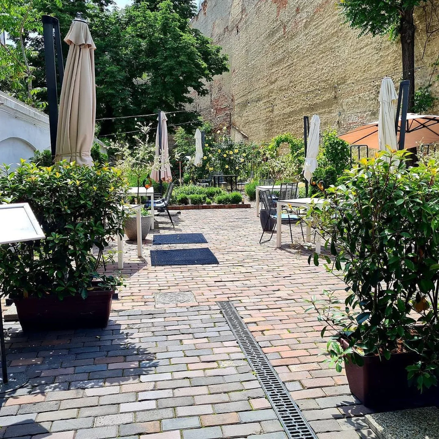 The TOP 10 Restaurant Open on Thursday in Bucharest